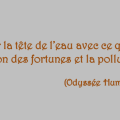 quote19