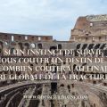 carte colisee