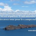 carte conseils