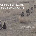 carte safari