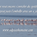 qui veut encore