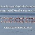 carte systeme2