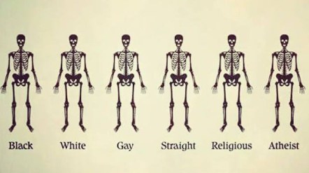 1012359_10152977980355464_610569984_n[1]