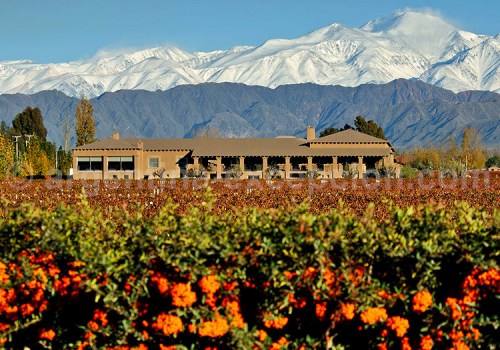 3-Bodega-Vistalba-Luján de Cuyo-750x525
