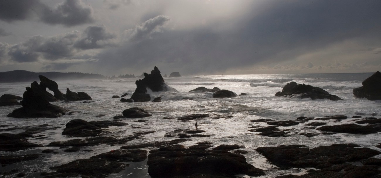 photo-1448546120959-a4b0e3dd910d