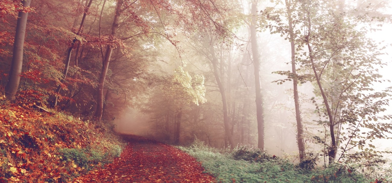 photo-1445964047600-cdbdb873673d