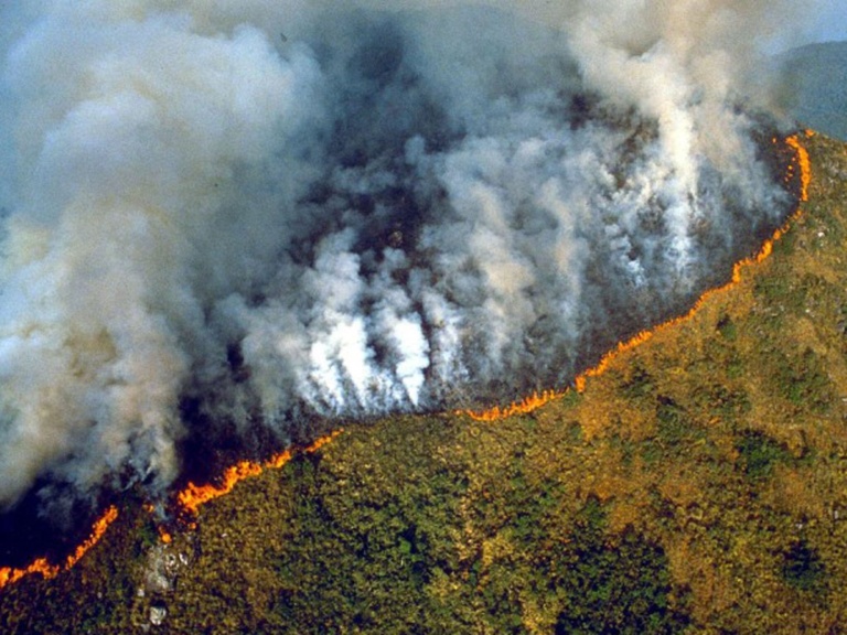 did-you-know-the-amazon-has-been-burning-for-3-weeks-we-could-lose-20-of-oxygen-in-the-world-world-of-buzz-5-768x576