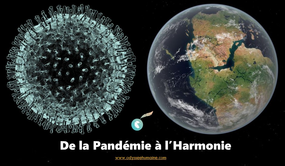 Pandémie Harmonie cover FInal